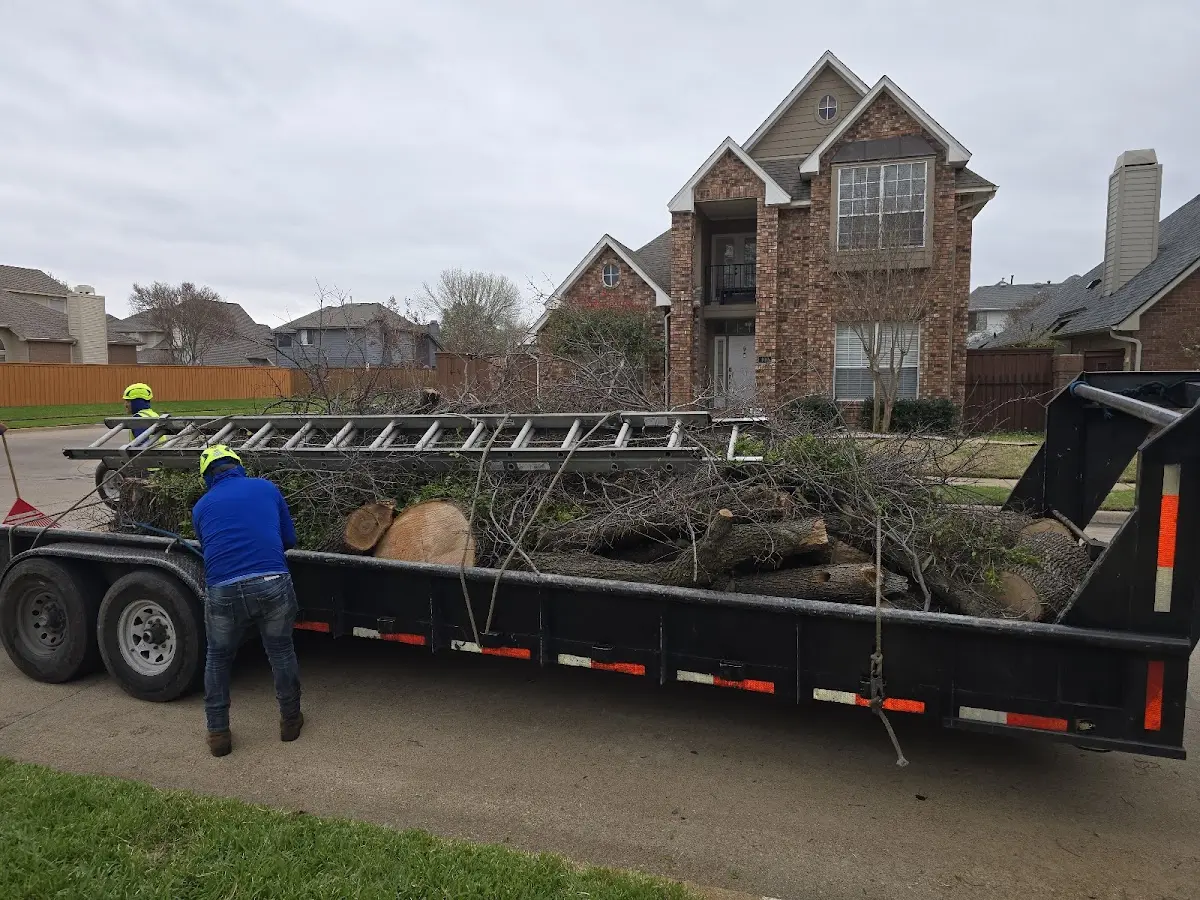 Expert Lot Clearing with proper safety equipment in West Union